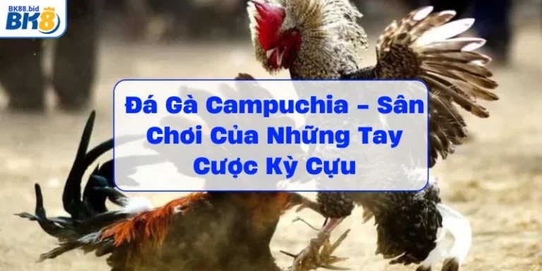 da-ga-campuchia-san-choi-cua-nhung-tay-cuoc-ky-cuu