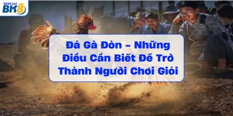 da-ga-don-nhung-dieu-can-biet-de-tro-thanh-nguoi-choi-gioi