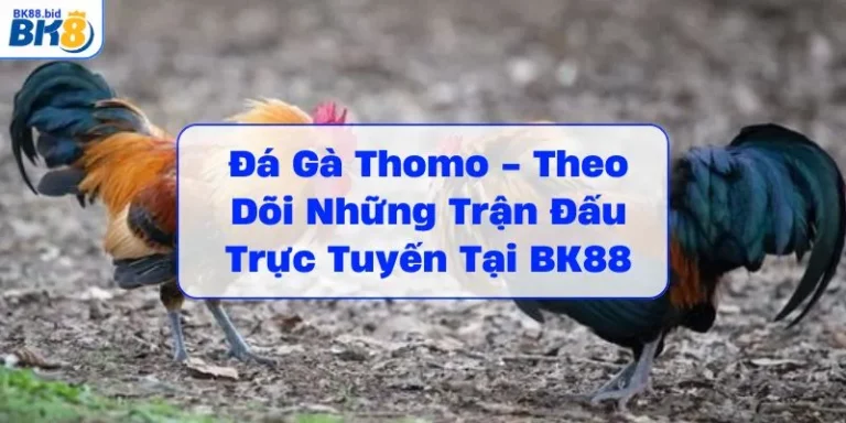 da-ga-thomo-theo-doi-nhung-tran-dau-truc-tuyen-tai-bk88